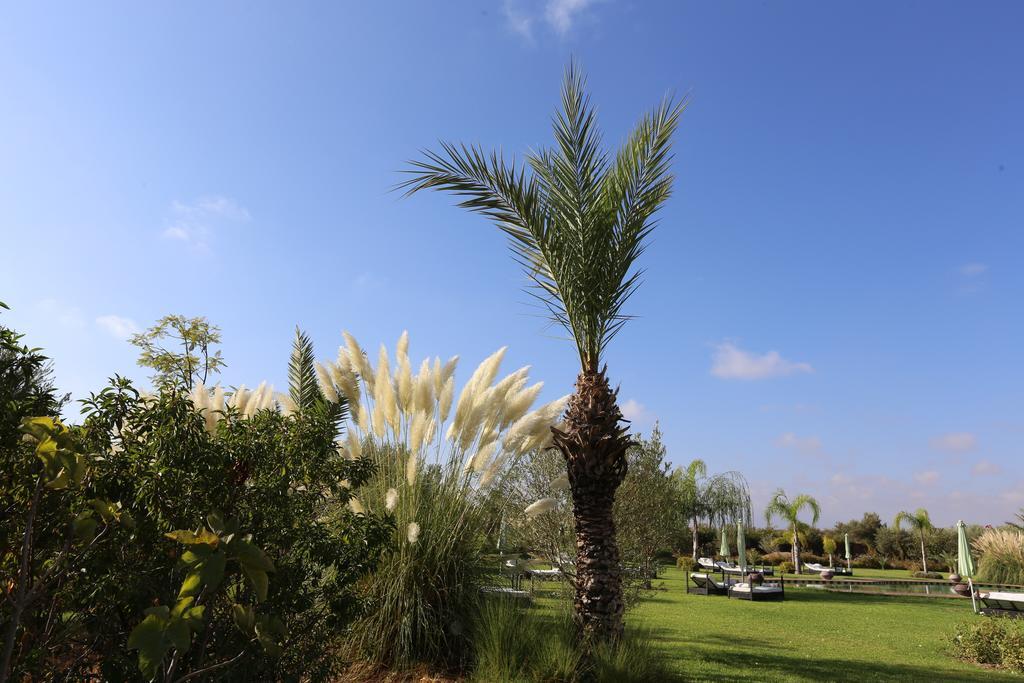 Riad Al Mendili Private Resort & Spa Had Abdallah Rhiat Exterior foto